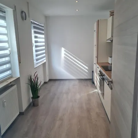 Hirschhof , Zentrum ,direkt An Der Fussgaengerzone,netflix,wlan Apartament Karlsruhe